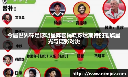 今届世界杯足球明星阵容揭晓球迷期待的璀璨星光与精彩对决